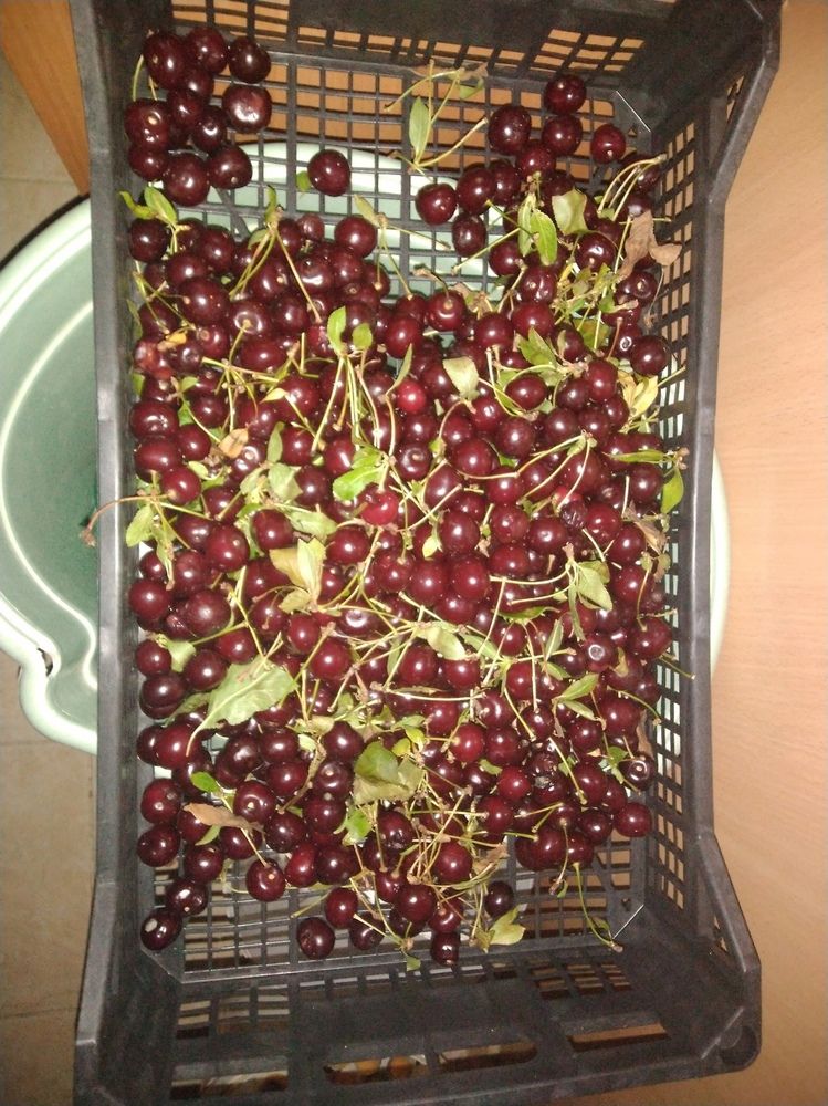 Фотография автора Анатолий Дячина