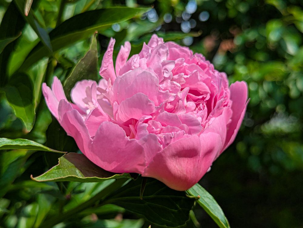 Photograph by Виктор Поверенов