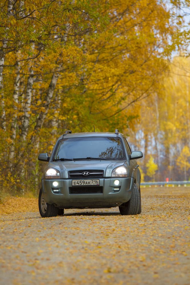 Photograph by Игорь Сапронов