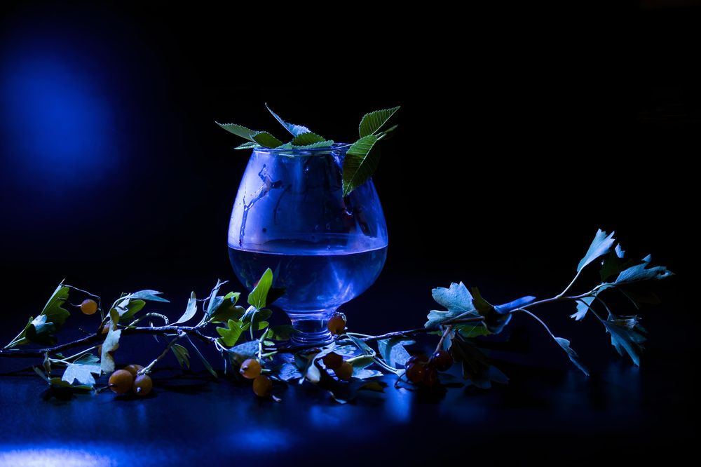 Photograph by Ирина Шибитова