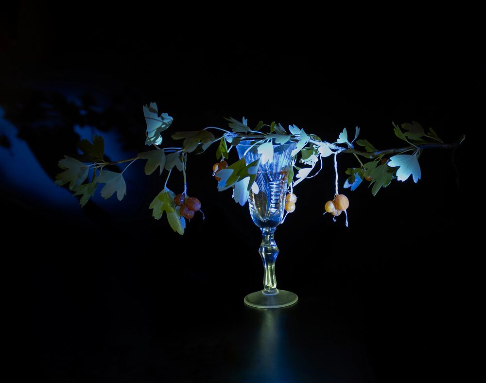 Photograph by Ирина Шибитова