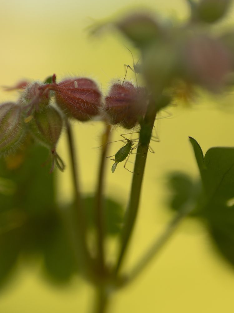 Photograph by Ирина Протченко