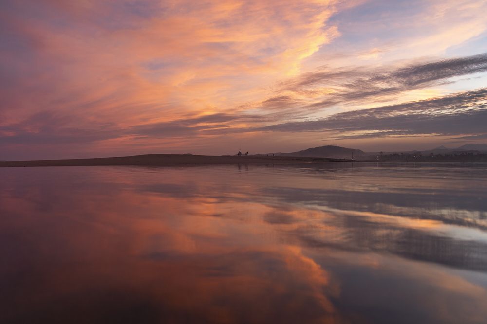 Photograph by Noe Castro