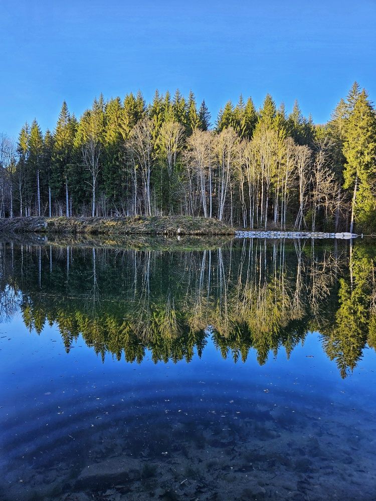 Фотография автора ANNA ILICHEVA