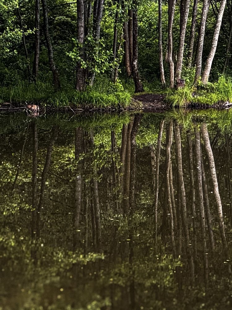 Photograph by Elena Mariushkina