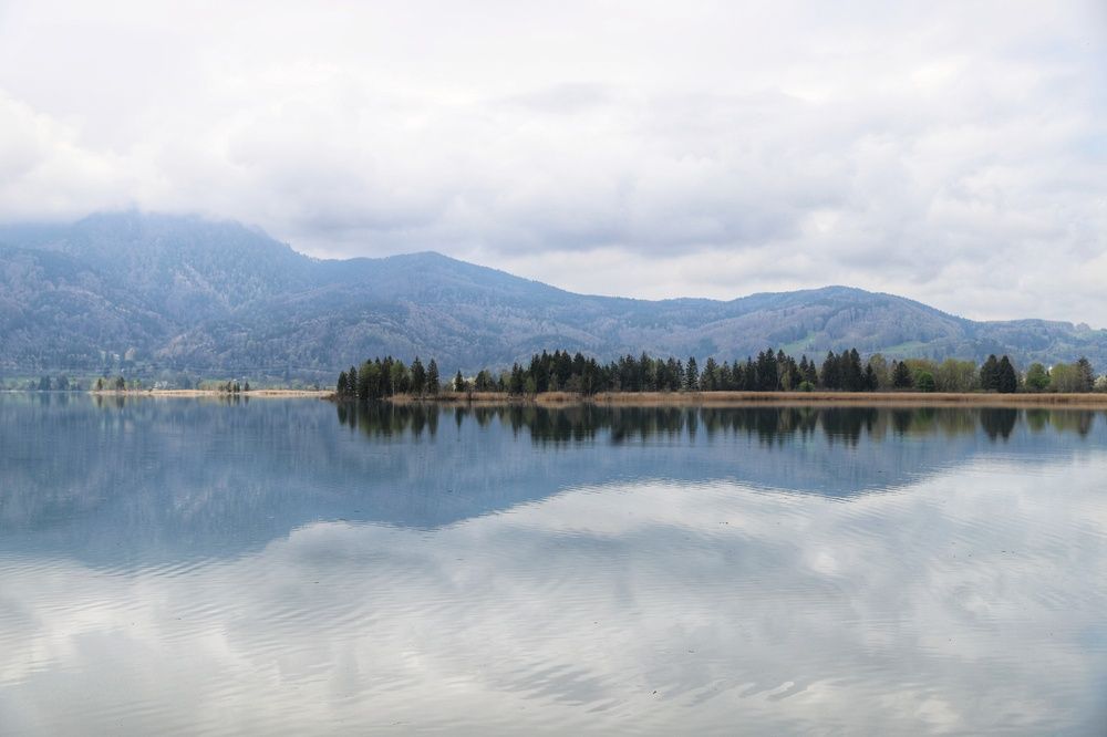 Фотография автора ANNA ILICHEVA