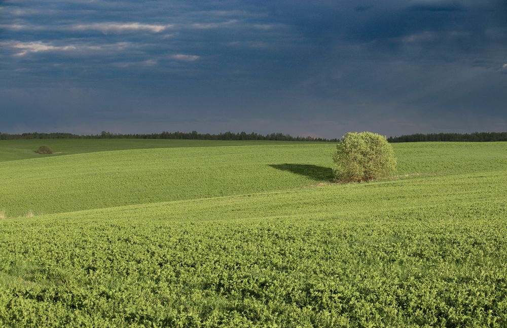 Photograph by Викулов Сергей