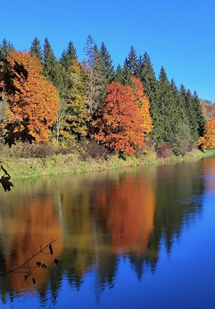 Photograph by Ирина