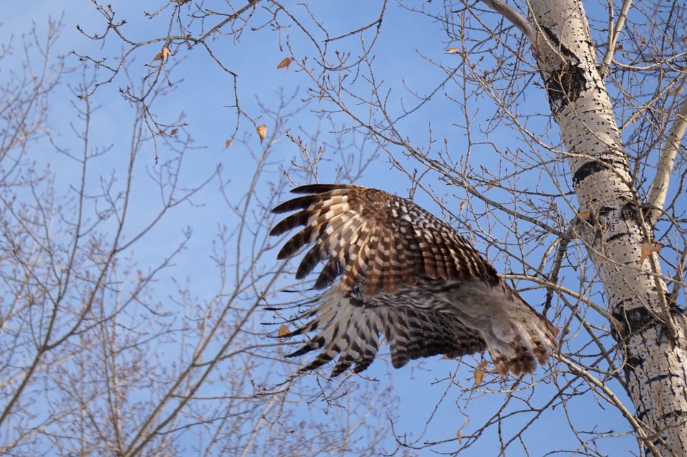 Photograph by Ксения Дудкина