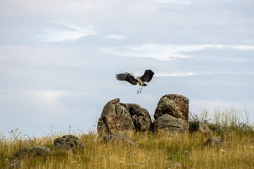 Photograph by Ксения Дудкина