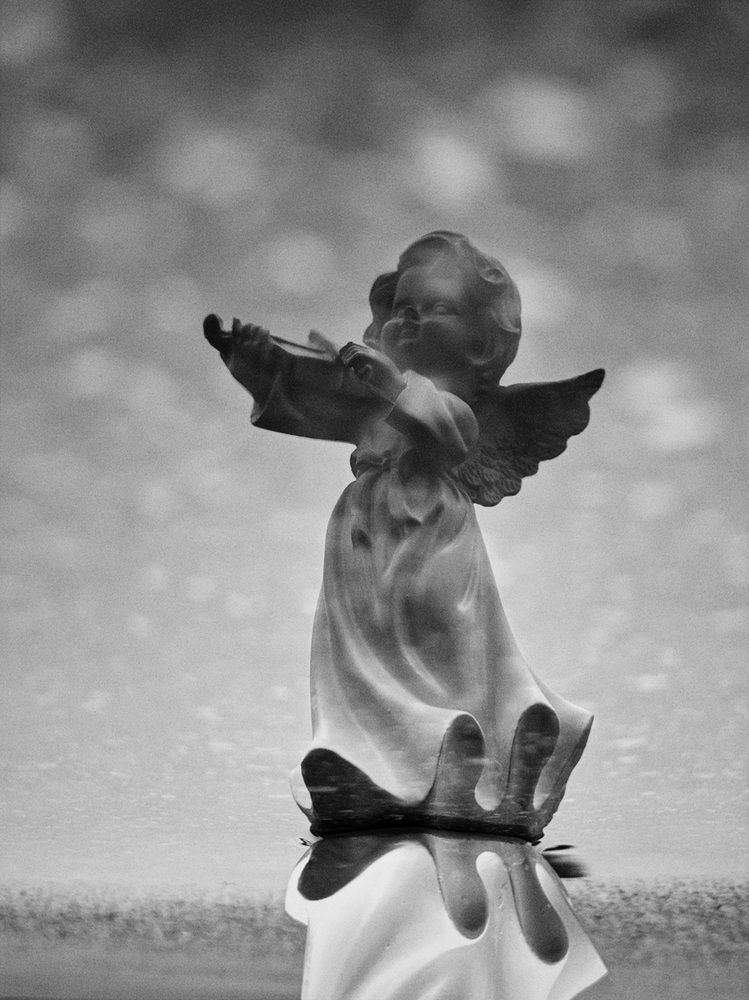 Фотография автора Дарья Викторова