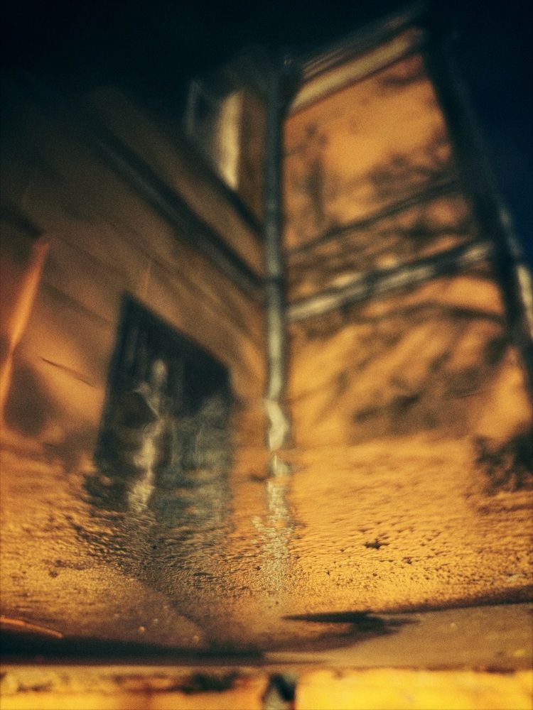 Фотография автора Дарья Викторова