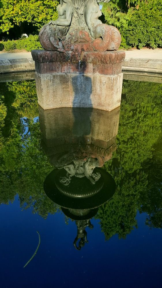 Фотография автора Anabela Maria Lima Silva