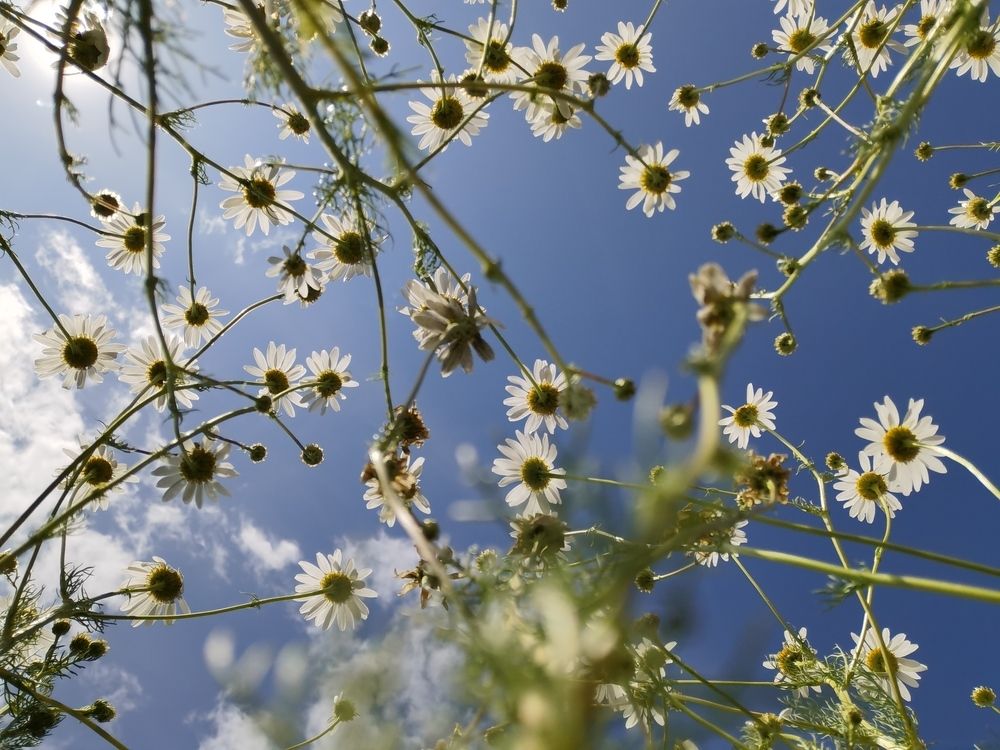 Photograph by Назлыгуль Малашова