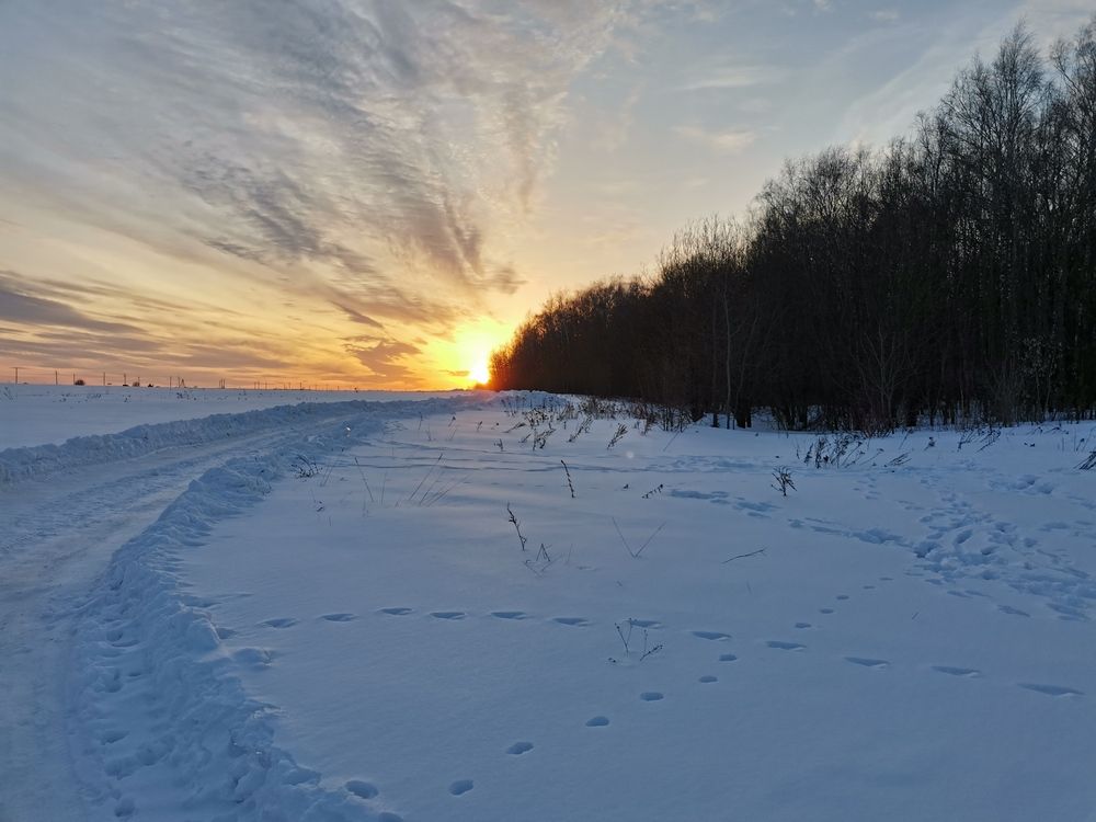 Фотография автора Давыдова Ольга Николаевна