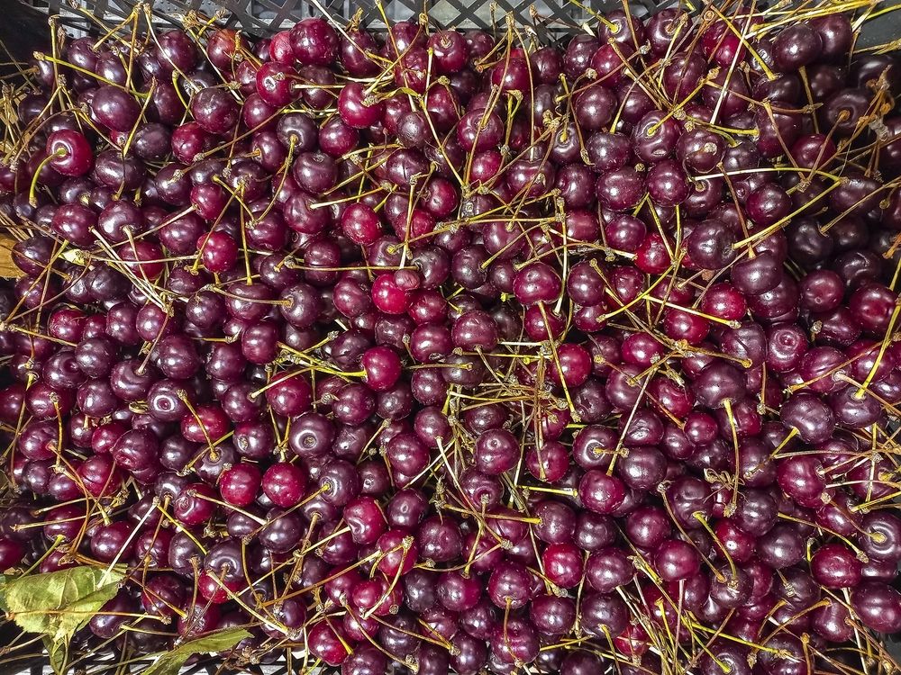 Photograph by Валерий Клейменов