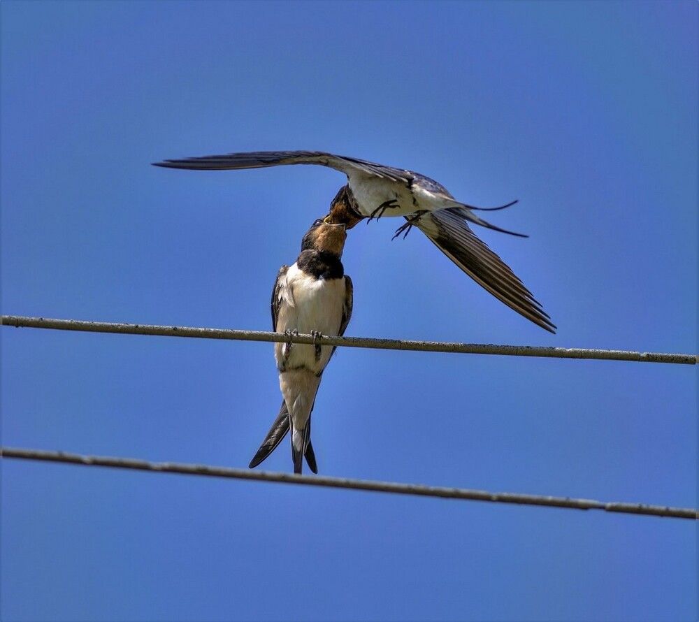Photograph by Сергей Ключарёв
