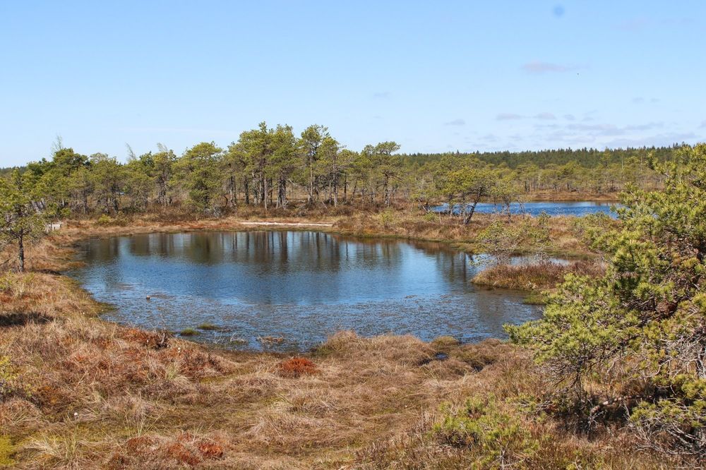 Photograph by Igors Rostikovs