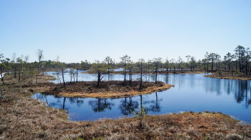 Photograph by Igors Rostikovs