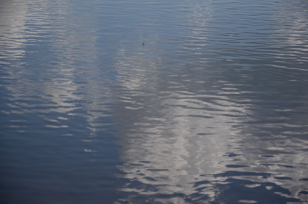 Photograph by Шулунова Стелла