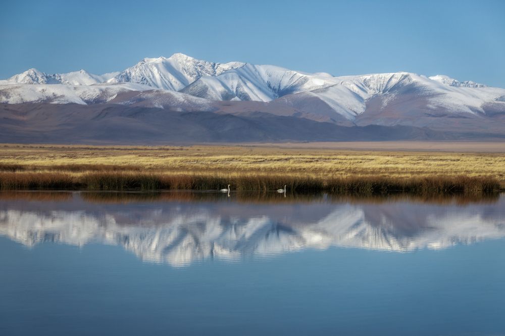 Photograph by Гусева Елена