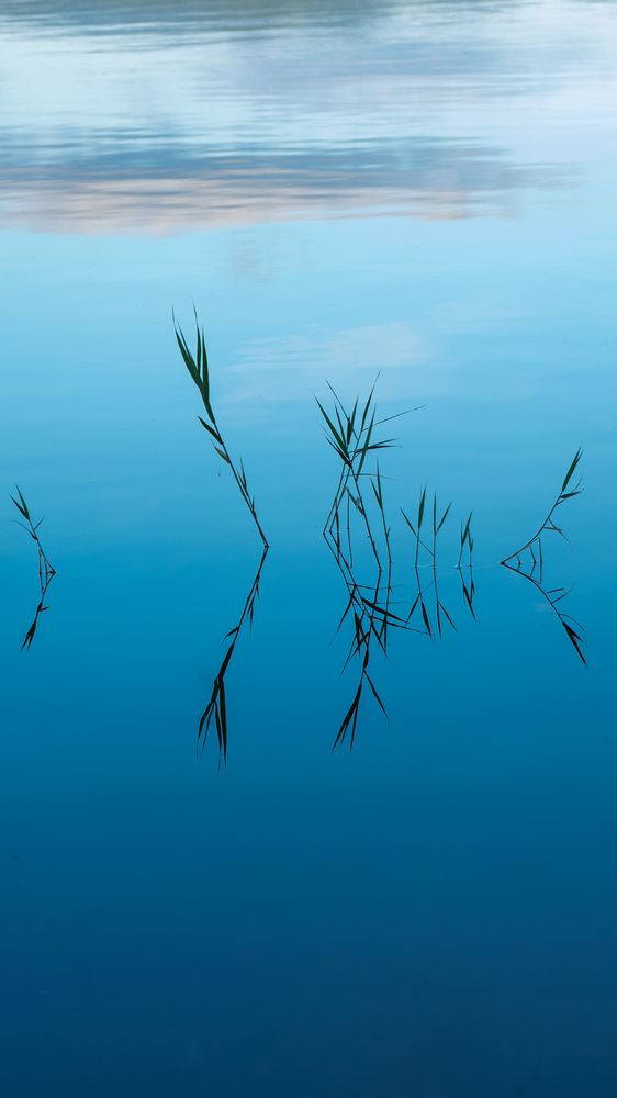 Photograph by Vlad Nanau