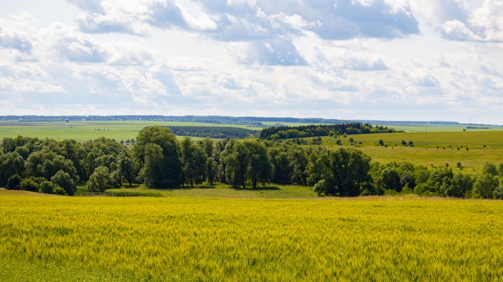 Поля Чувашии