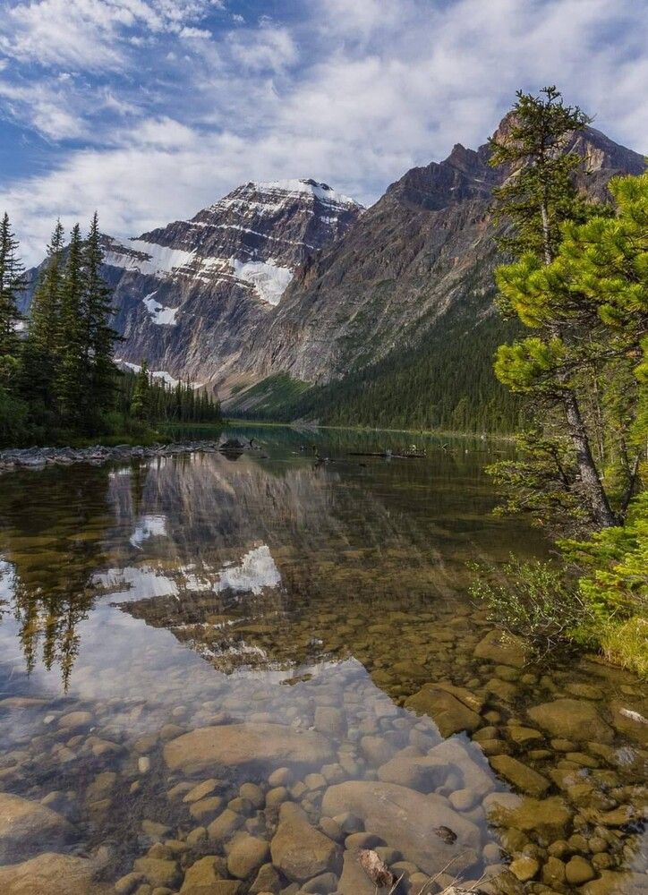 Фотография автора Katerina Georgieva