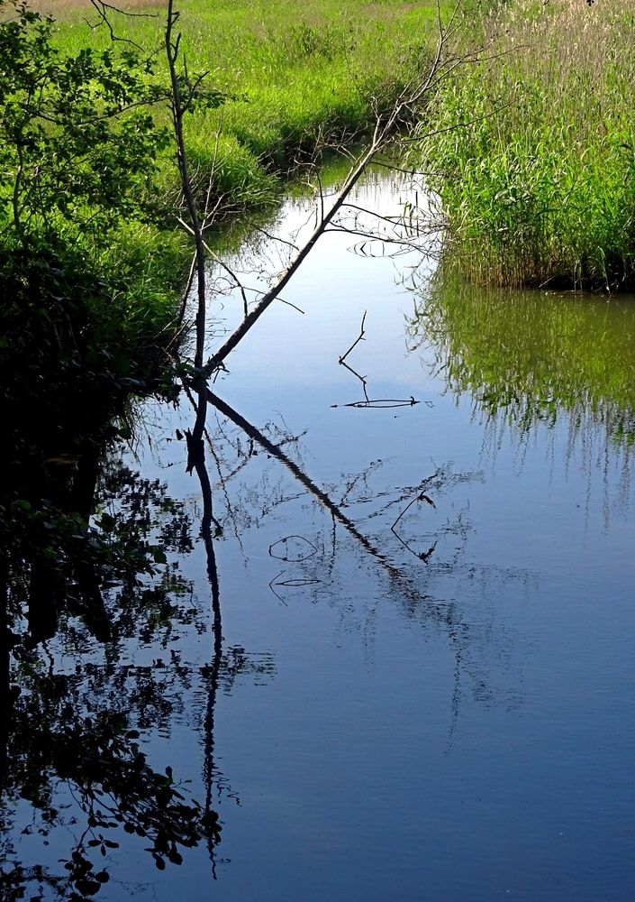 Photograph by Елизавета Маринен