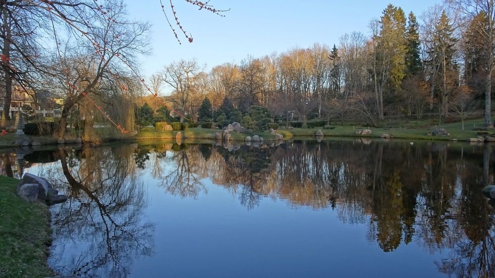 Абсолютная симметрия