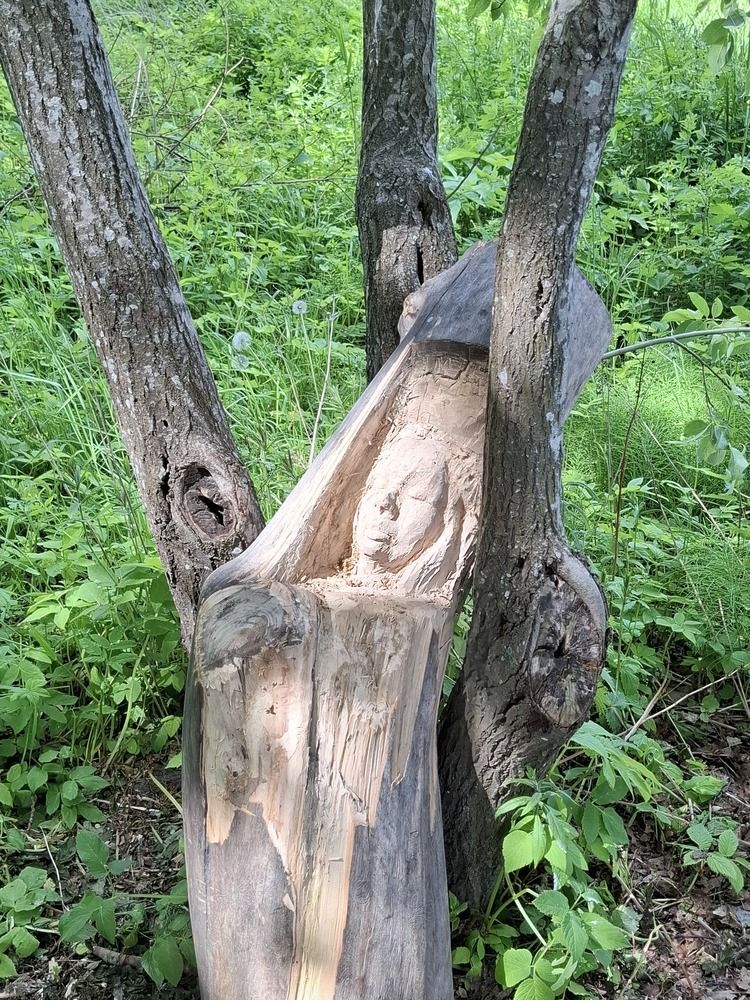 Photograph by Ирина
