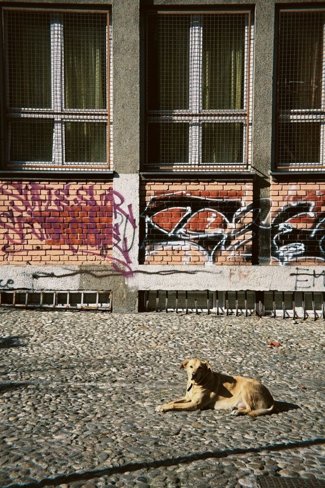 Photograph by Татьяна Терлецкая