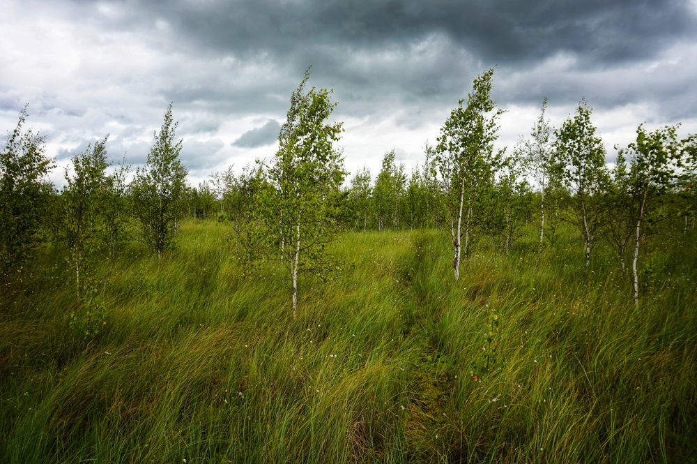 Photograph by Андрей Казаков