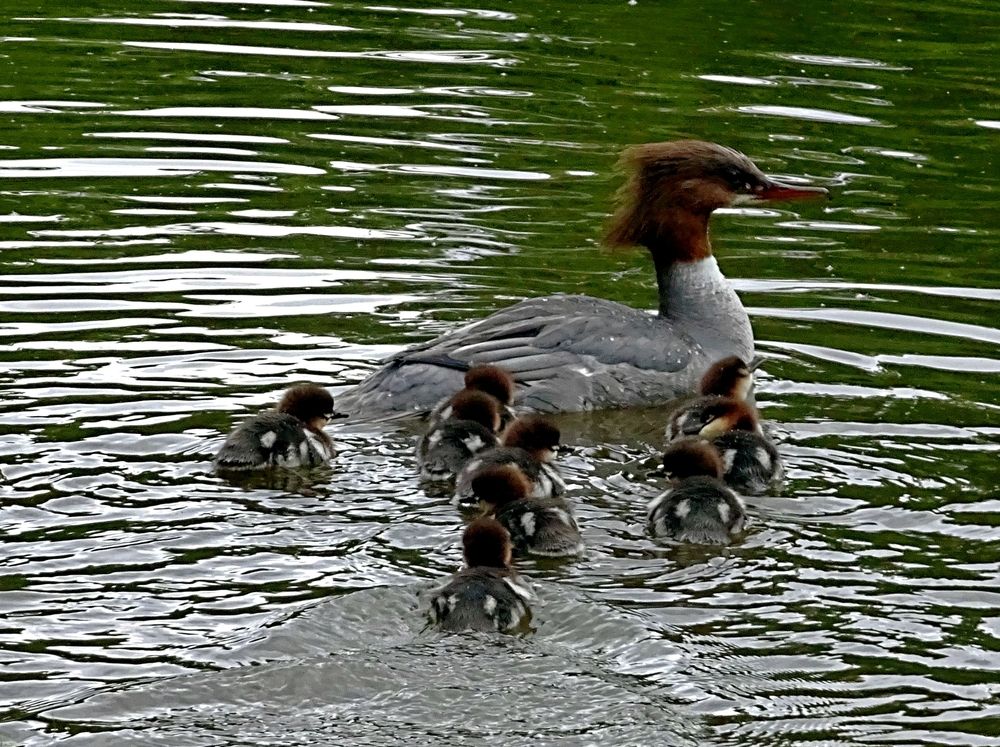Photograph by Елизавета Маринен