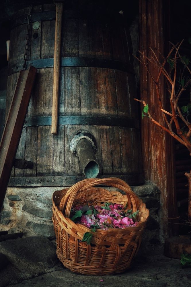 Photograph by Юлияна Стоянова