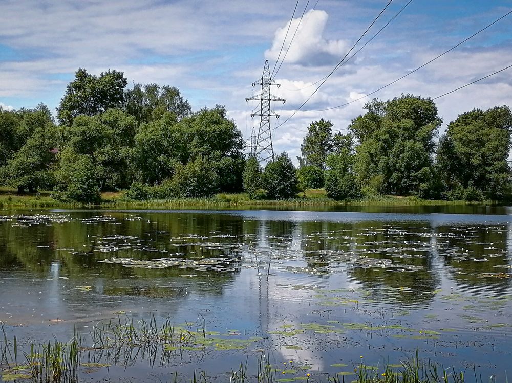 Фотография автора Ксения Мельникова