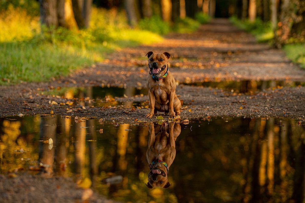 Photograph by Мария Шерскова