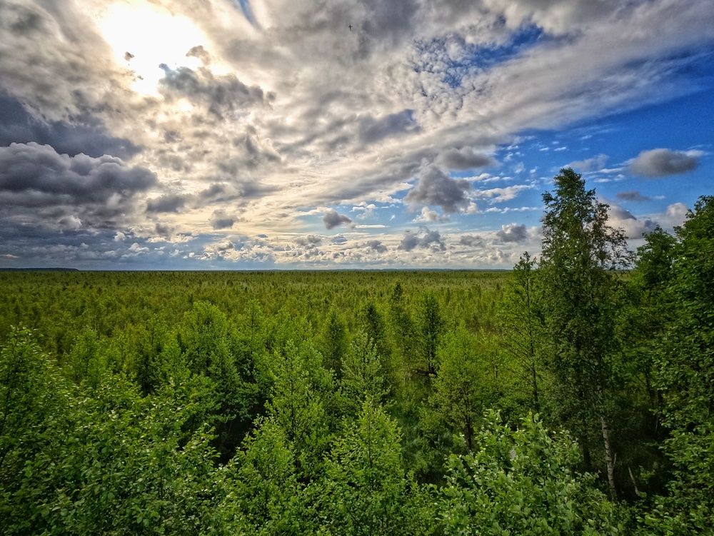 Photograph by Андрей Казаков