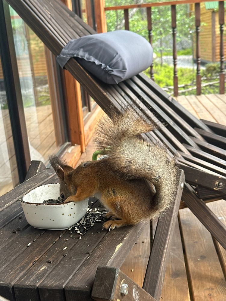 Photograph by Ольга Желтова