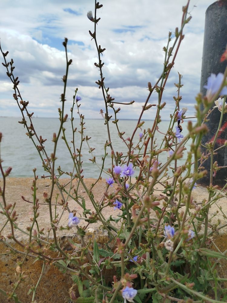 Photograph by Елизавета Слесарева