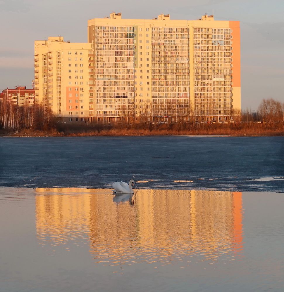 Photograph by Нина