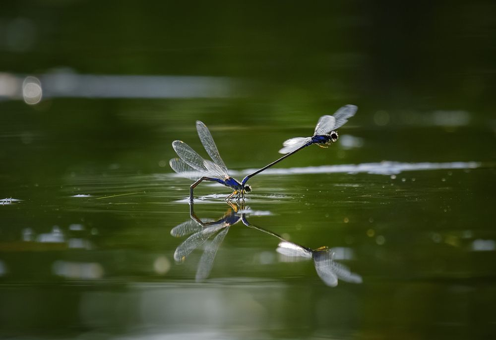 Photograph by Natalia Bolotenkova