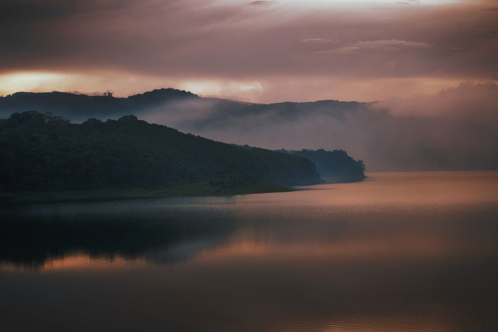 Photograph by Niranjan Baishya