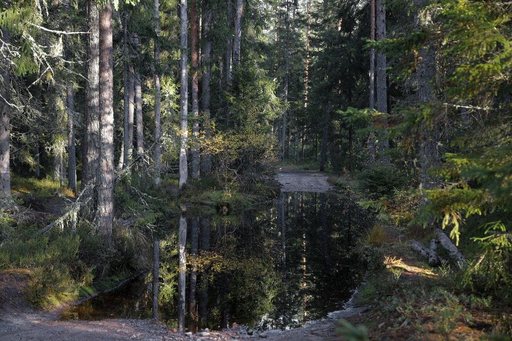 Photograph by АНДРЕЙ МИТЮРИН