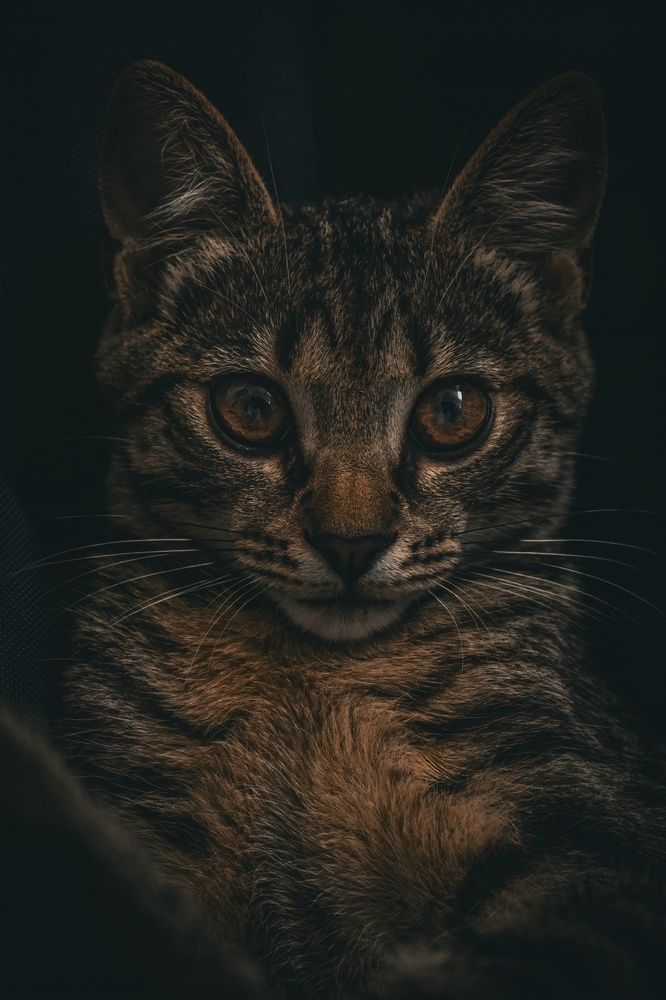 Photograph by Даниил Сырбу