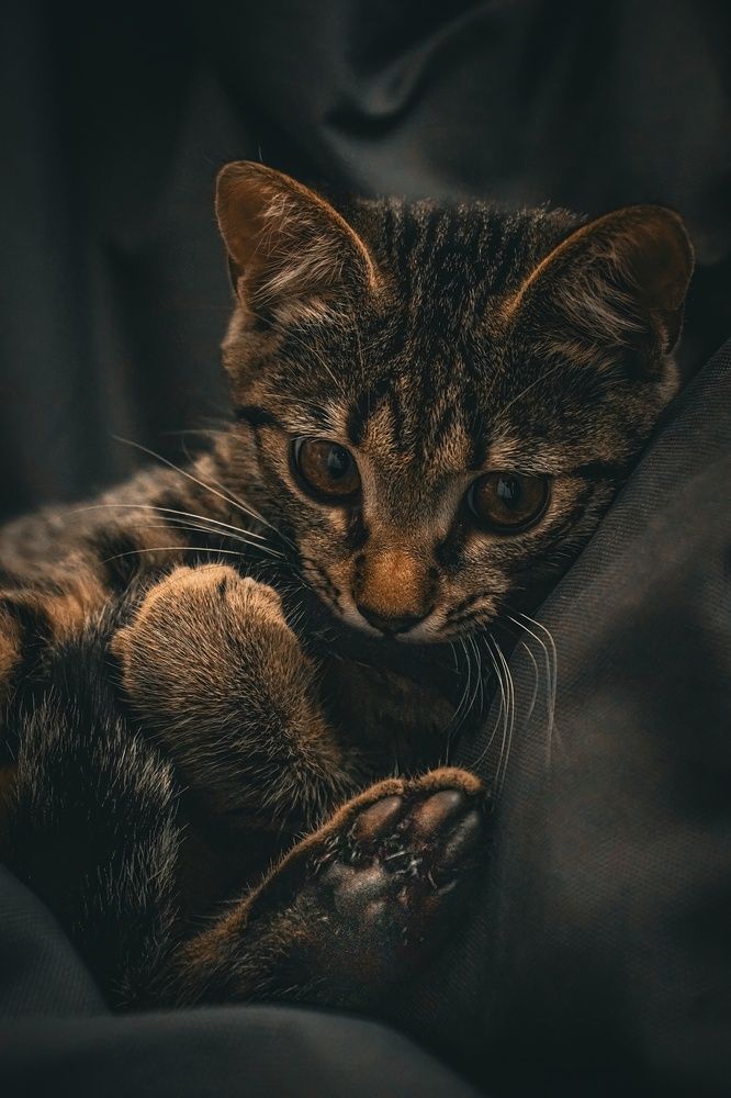 Photograph by Даниил Сырбу