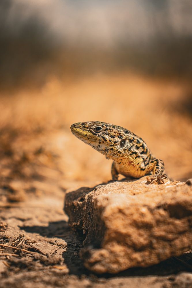 Photograph by Даниил Сырбу