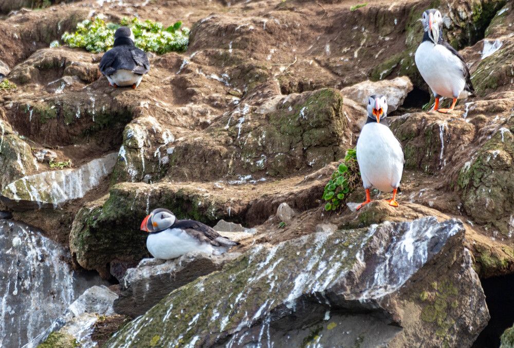 Photograph by Василий Писарев