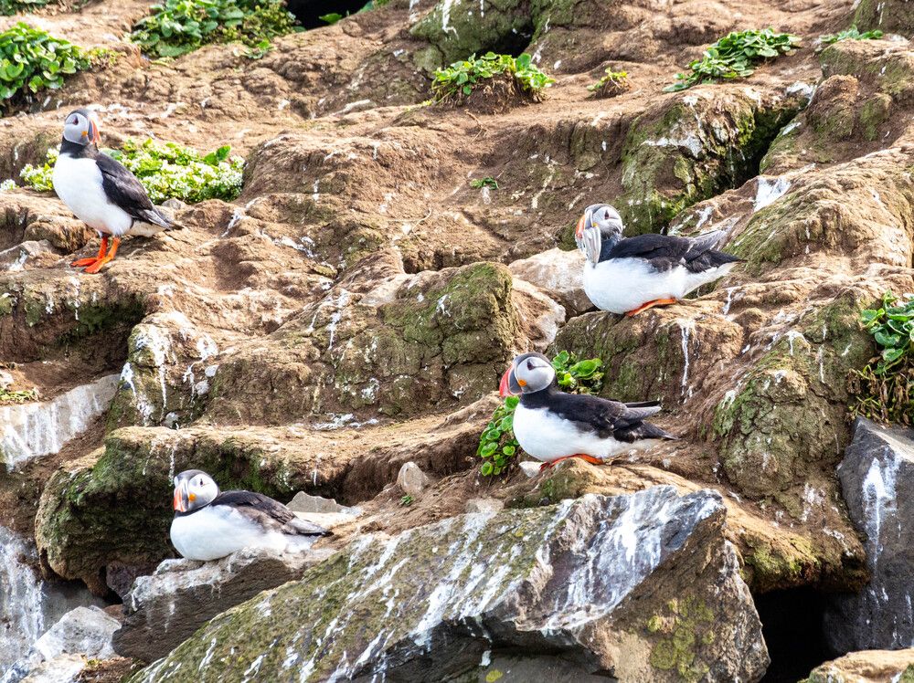 Photograph by Василий Писарев