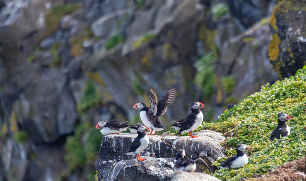 Photograph by Василий Писарев